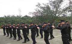 安保公司是干什么的,经营范围与服务内容介绍!